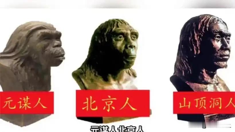 课本（中学）第一页讲“元谋人”（170万年）、“北京猿人”遗址，一问“豆包”，认