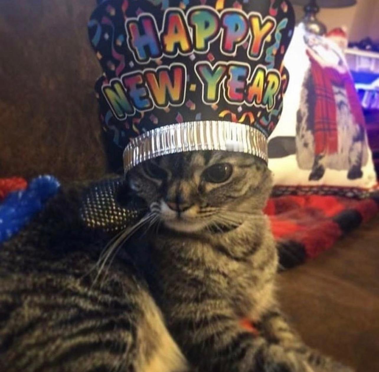 新年快乐🎉 