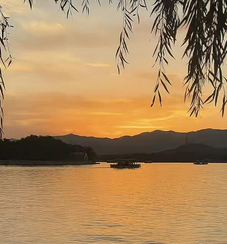 为什么短剧会成为流行趋势时间短，剧情悬疑，让人不知不觉中入刷。