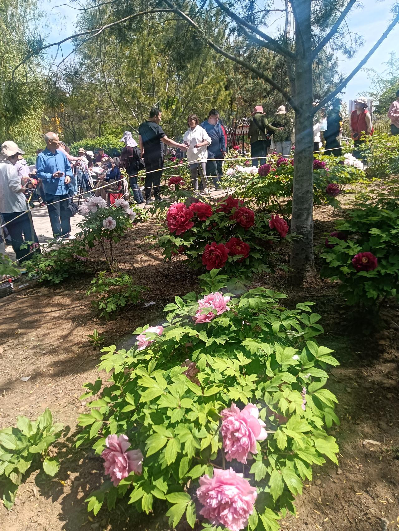 萍水相逢
藏头诗
文/李兴伟
萍水相逢皆有缘，
水中邂逅情相连。
相逢印象脑中添