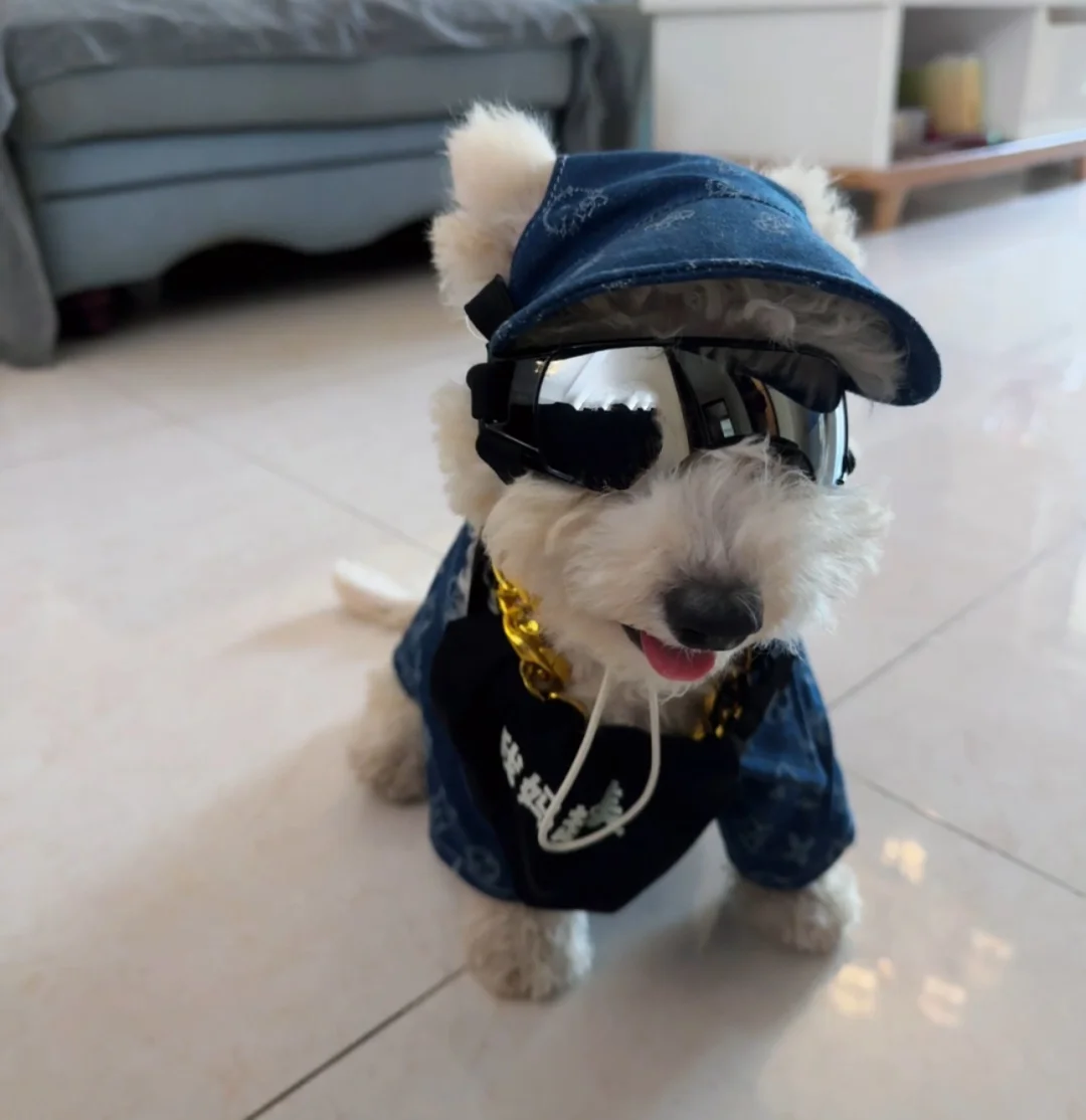 西高熊找领养（有偿）