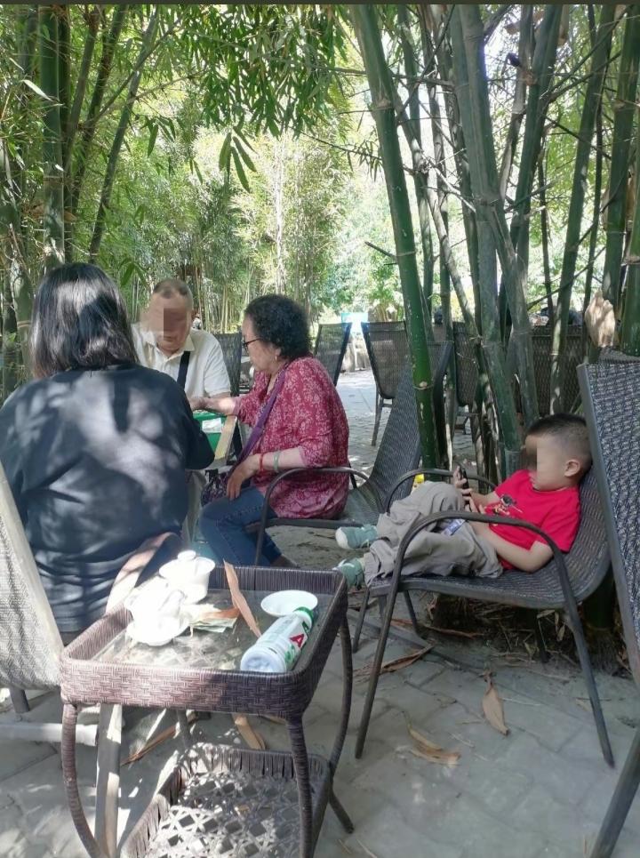 大人打麻将，小孩玩手机。大人打了半天麻将，小孩就玩了半天手机。
     把手机