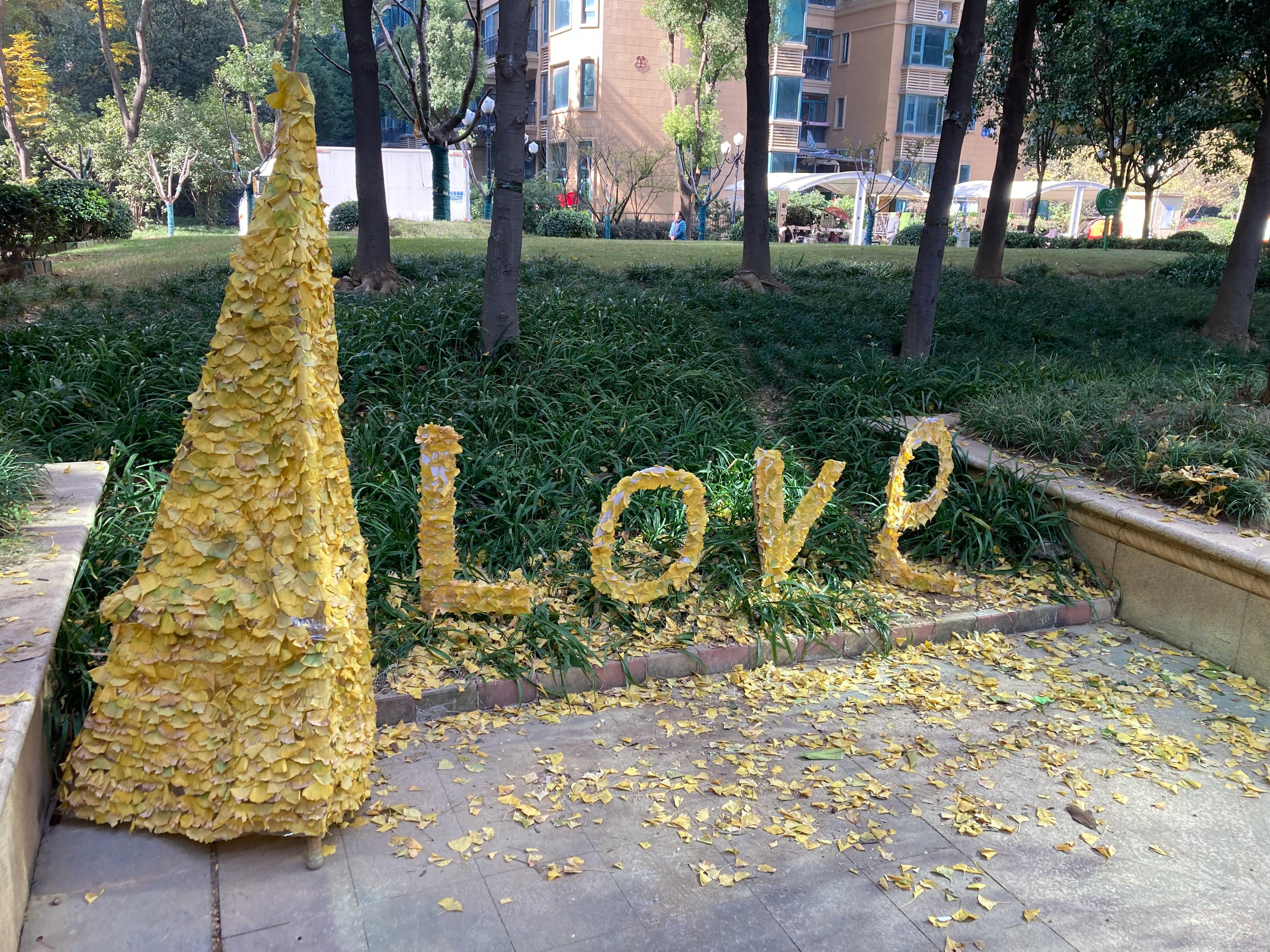 小区也有艺术创作，落叶堆了个LOVE，属于爱在冷暖紊乱时 