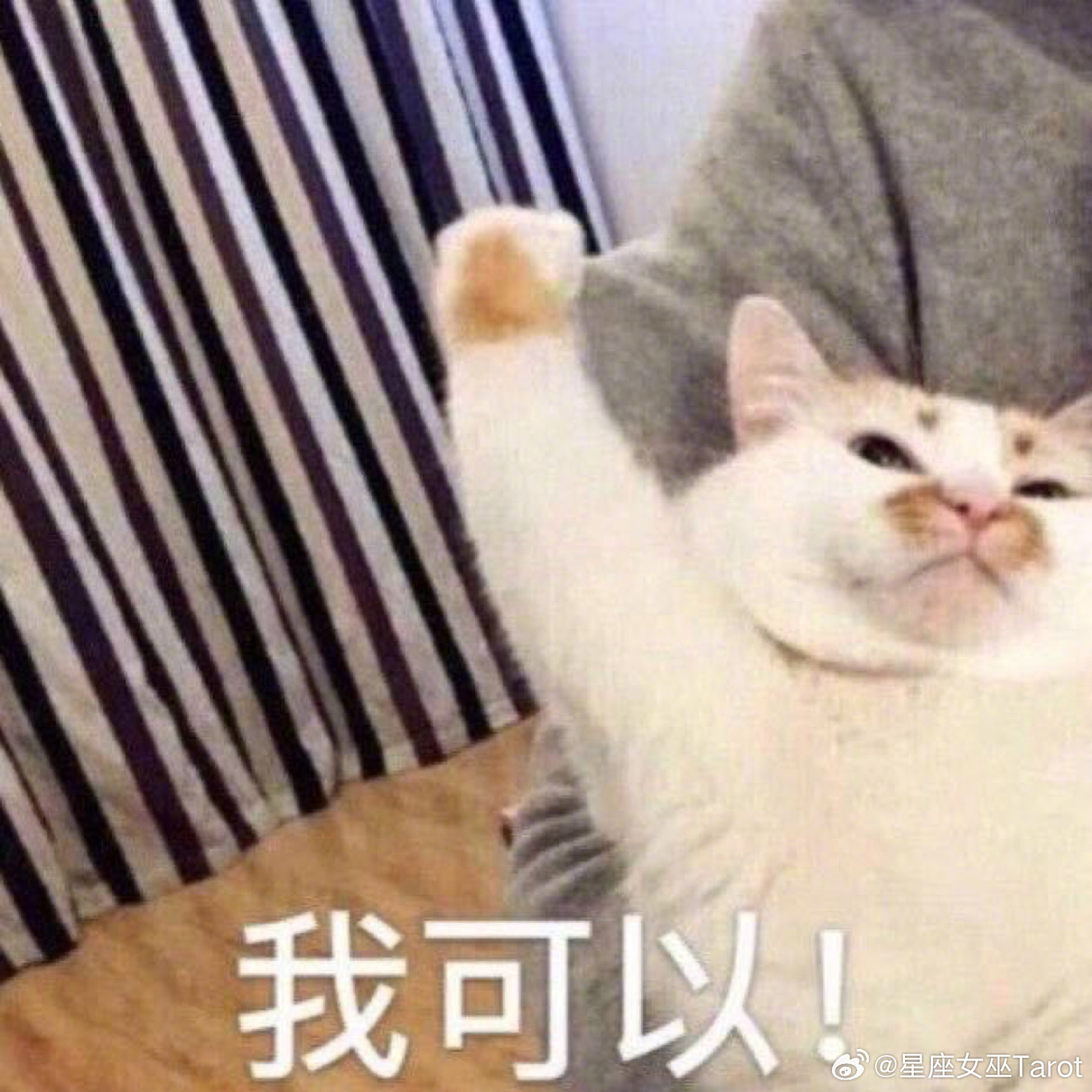 白羊、狮子、射手：人生信条两句话，不服就干，开心至上双子、天秤、水瓶：日常状态两