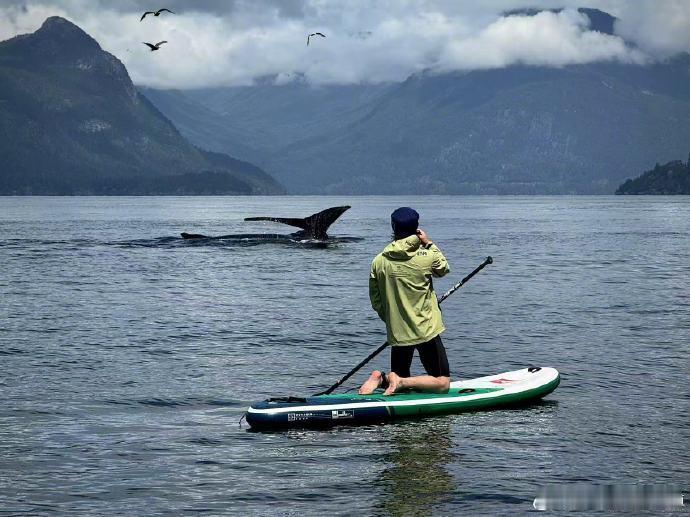 王一博分享的花絮照聚焦悬崖跳水，画面记录接触高难度动作的过程，传递乐于挑战的态度