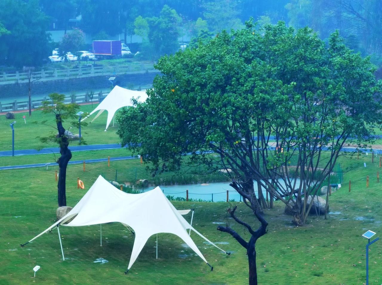 雨雾天！中山降温了，还下雨，今早雨势比较大，雾蒙蒙的。早高峰一路堵，每个路口都要