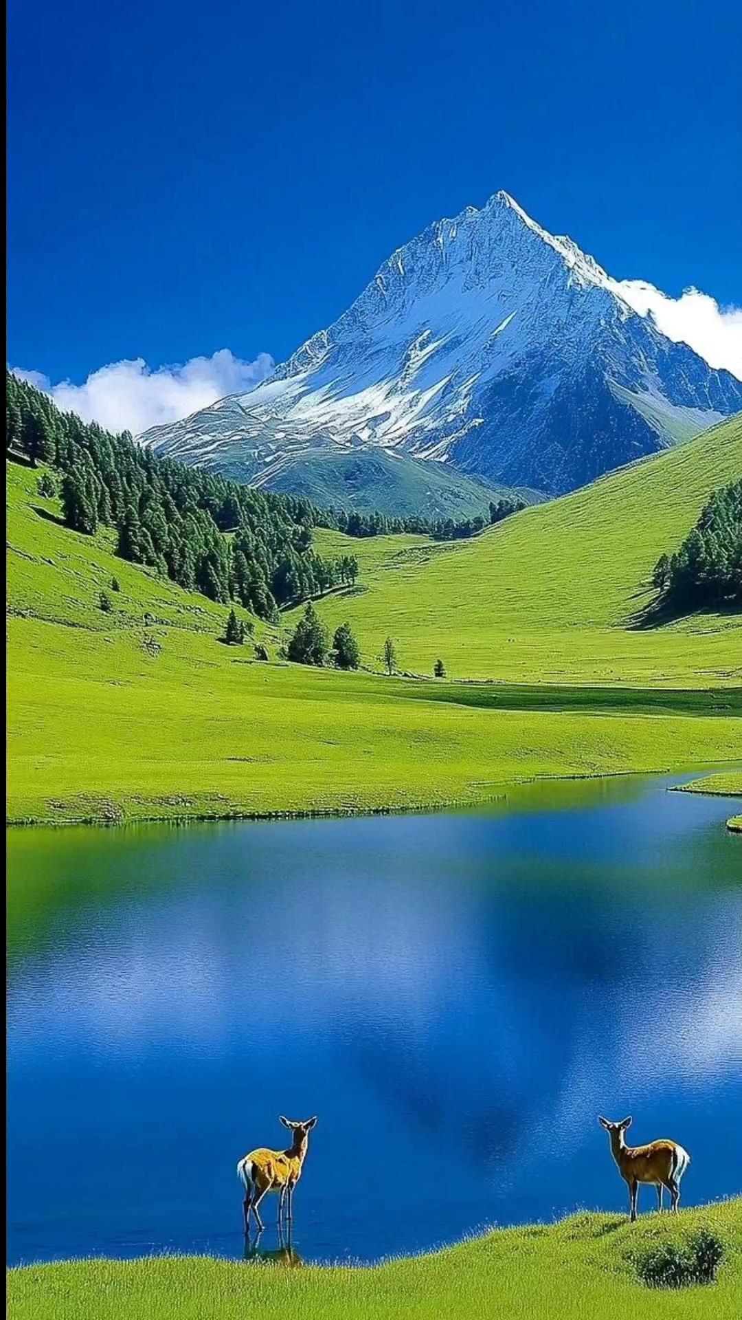 下联：水漫一片天。

（题图来自网络）