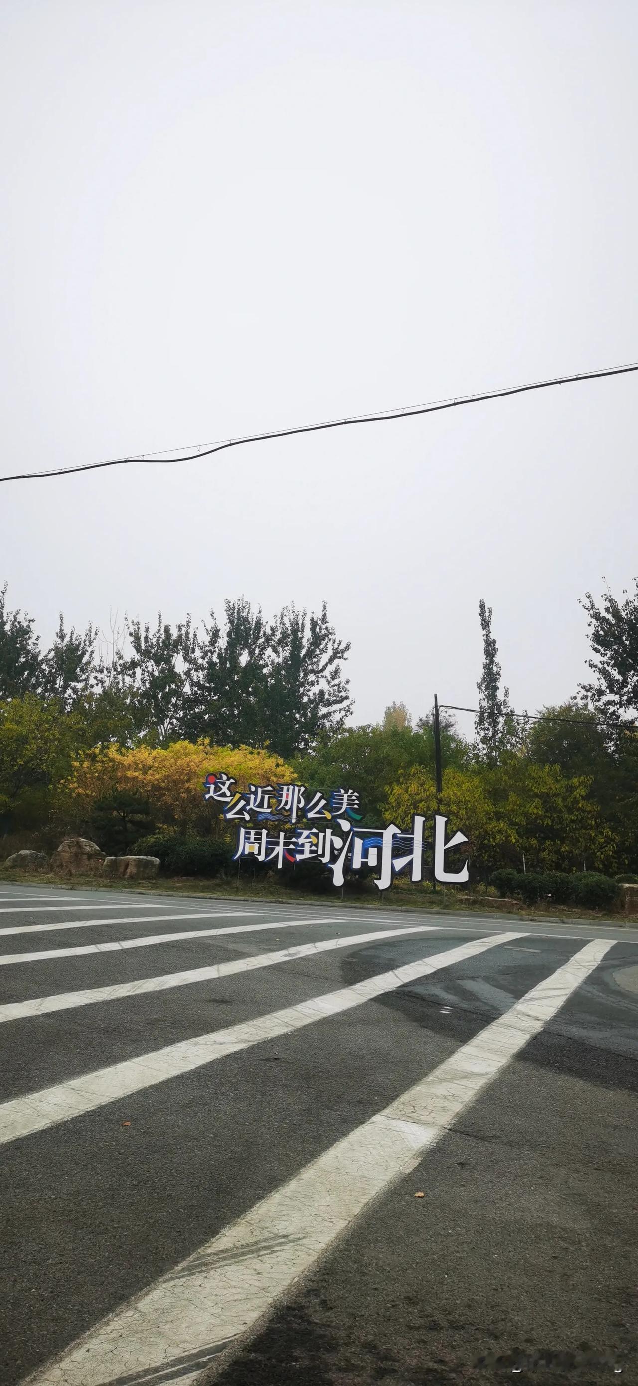 你觉得大佬们是如何进行资产配置的？
大佬们在进行资产配置时，通常会遵循一些基本的