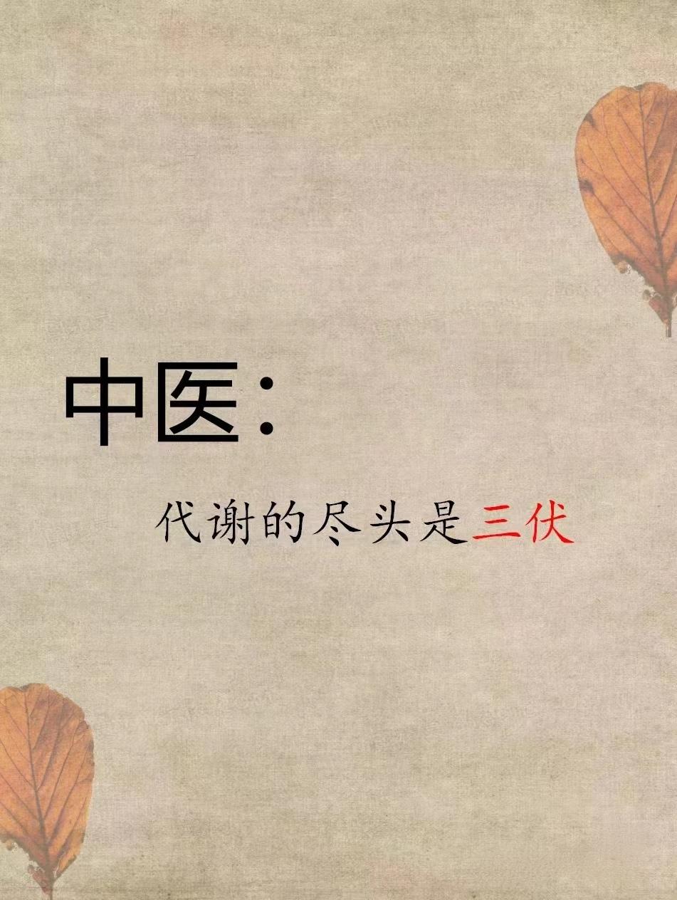 中医说：代谢的尽头是“三伏”，想减肥趁此时！
#减肥##中医减肥#