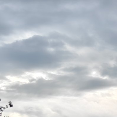 阳光信用 🌞阳光信用 每日一善世界因生命而美丽，生命因梦想而精彩。在人生的航程