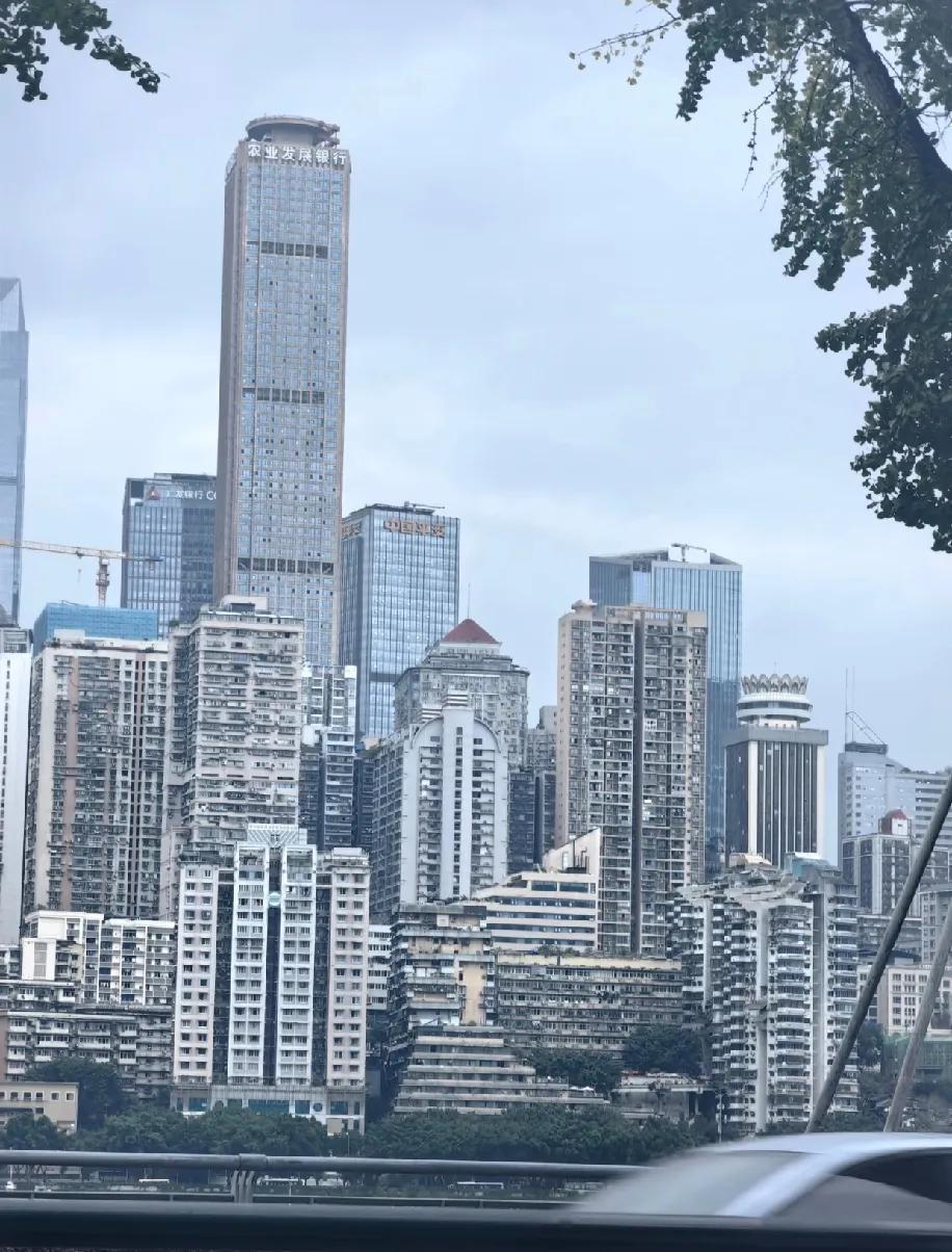 昨天在重庆江边晃悠，抬眼就是密密麻麻的高楼——农业发展银行那栋楼直戳戳杵在云底下