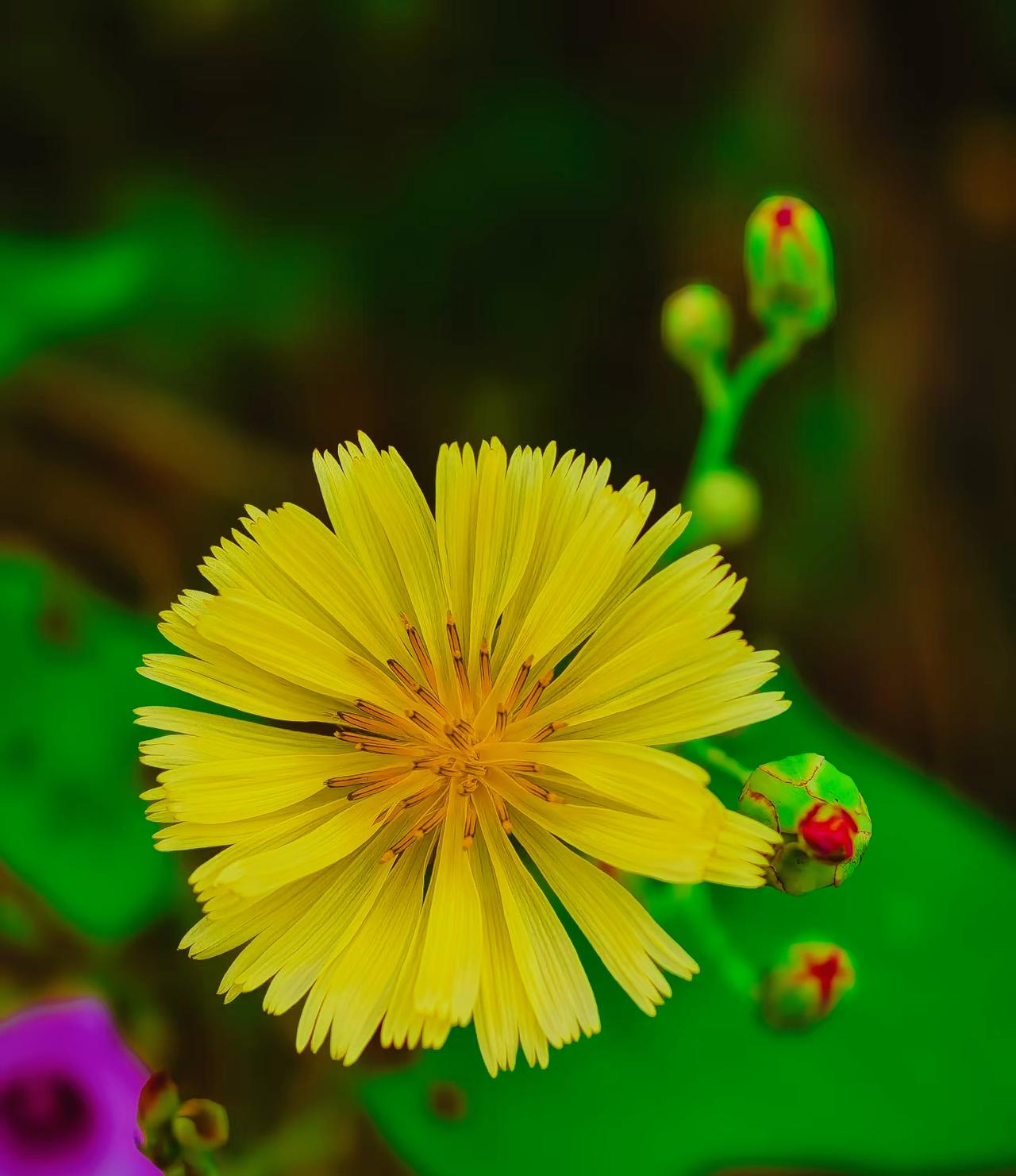：）
说个女人通病，特别扎心：一旦被雄狮保护过，就再也看不上那些鬣狗了……

我