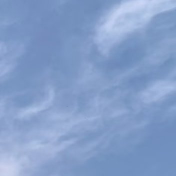 我发微博的时间越来越少了，因为我要从幼稚园大班转到小学一年级了，最近真的太忙了。