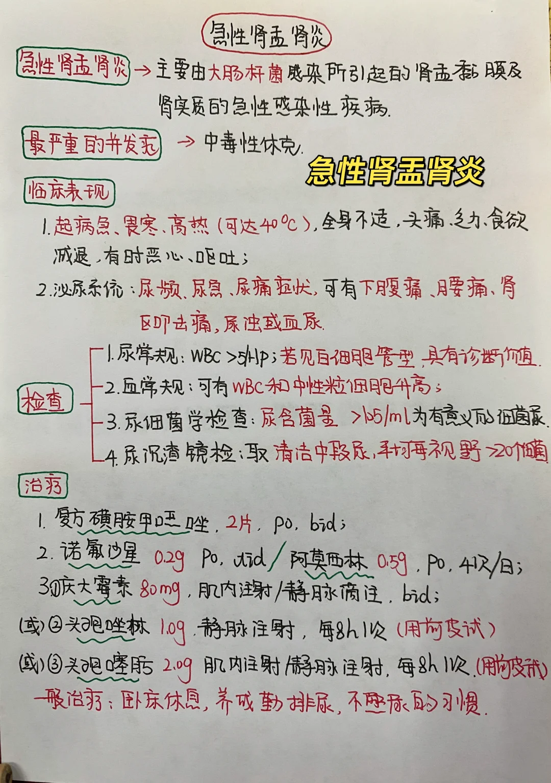 今日学习打卡——急性肾盂肾炎