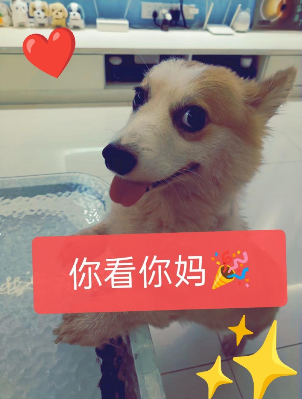 不让看就不让看。骂人是几个意思 ​​​
