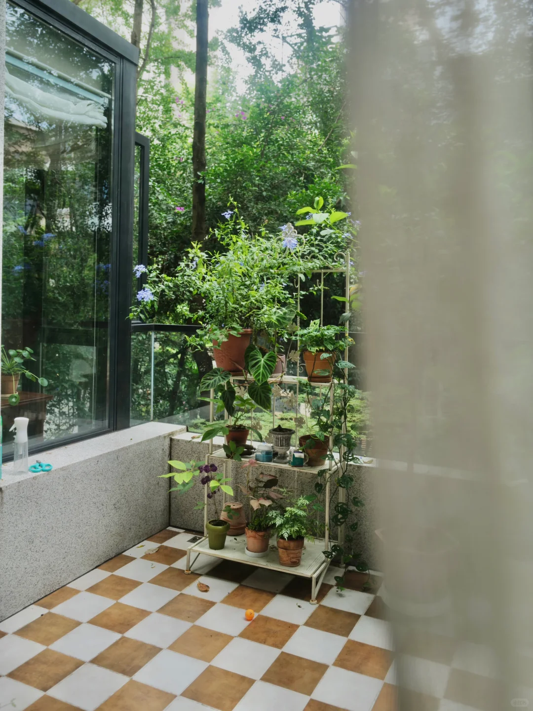 剧组想来取景拍摄我的老洋房🏡要不要答应呢