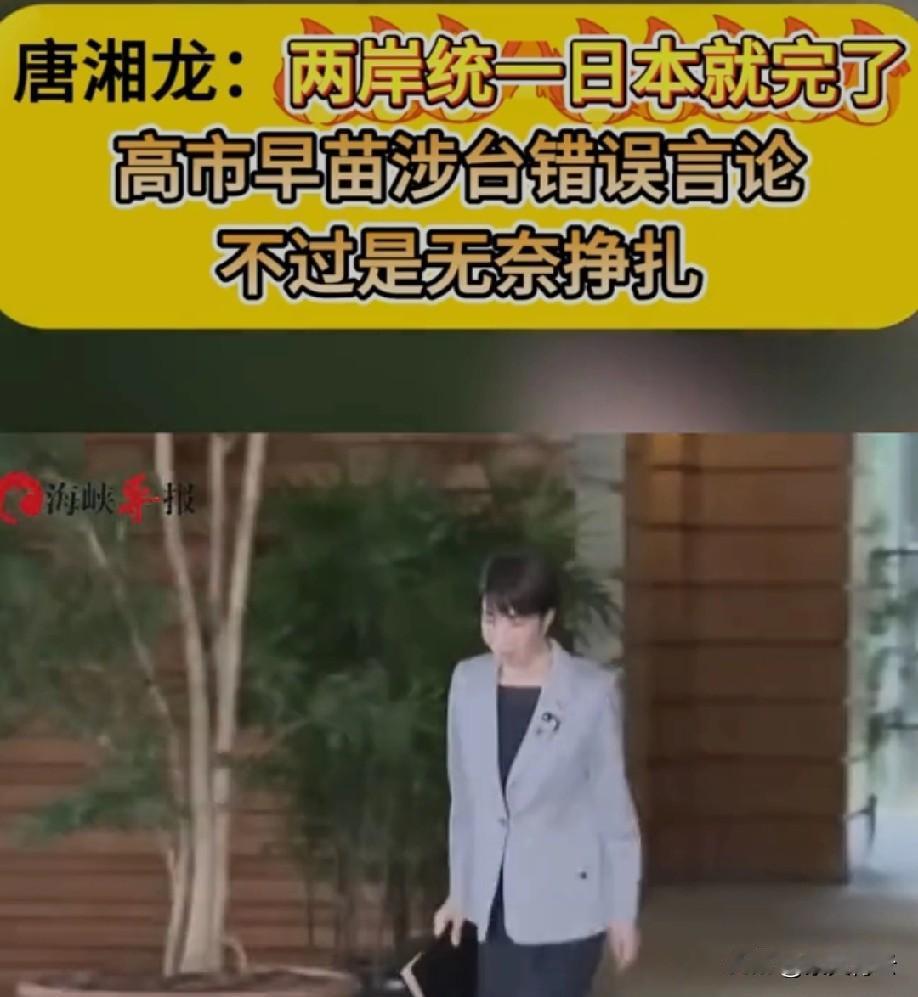 高市早苗作为日本首相，公然在国会炒作“台湾有事就是日本有事”，甚至想把防卫费提到