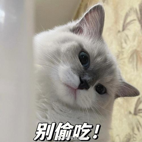 女高管疑因在办公室偷吃被开除 你说的“这个偷吃”是哪个“偷吃”，侵吞公司资产的行