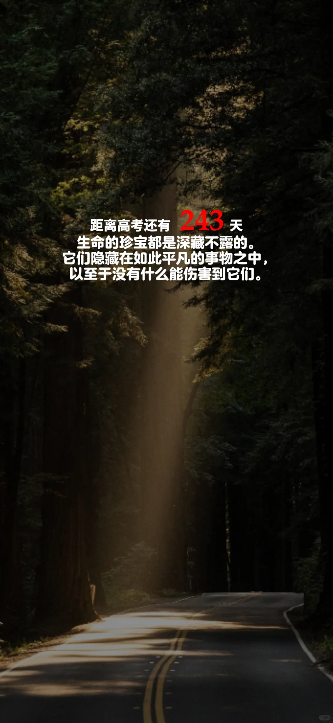 2025高考倒计时，每日更新。