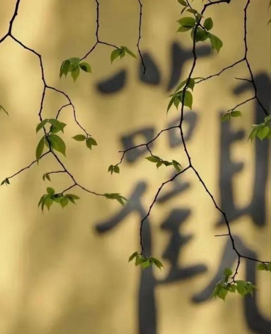 刚才和身边的朋友说，统计一下身边生活困难家里孩子上学需要学费，生病无钱治病需要资