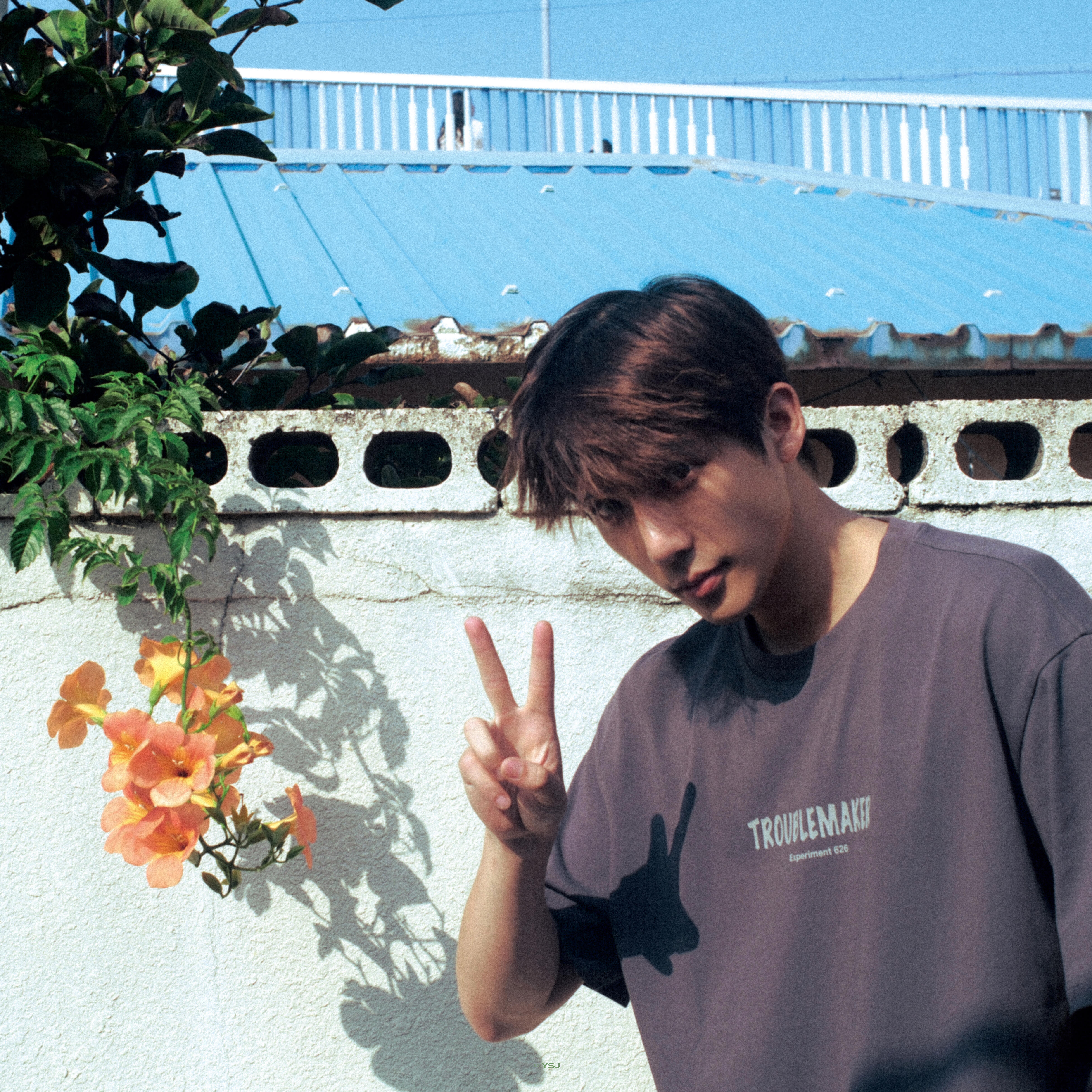 Share｜王安宇 男生头像明星头像 