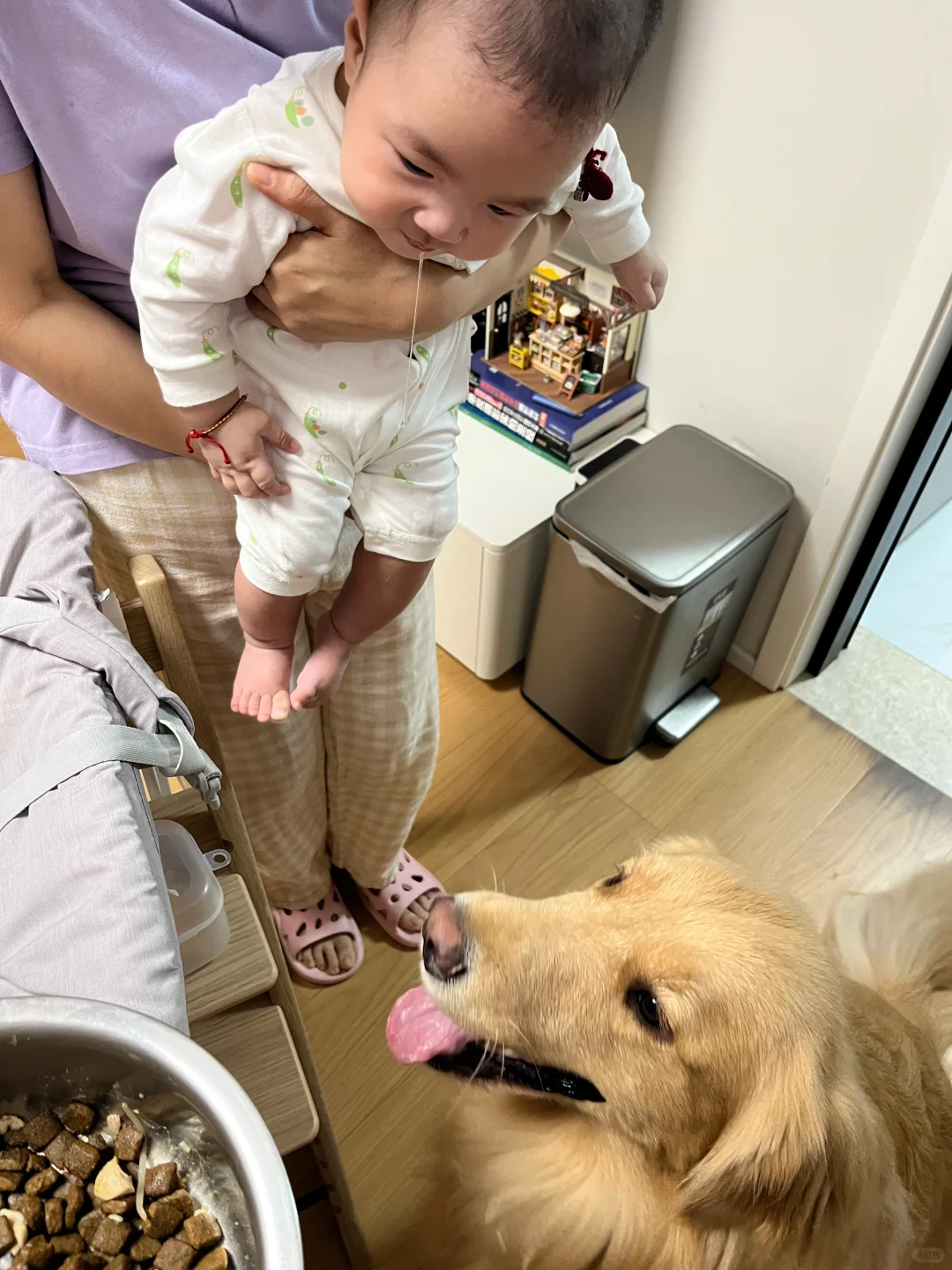 你好啊 四面八方的大黄狗