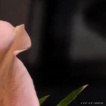 生活各自不易，个人所求不同，勿在别人心中修行自己，勿在自己心中强求别人；人生就是