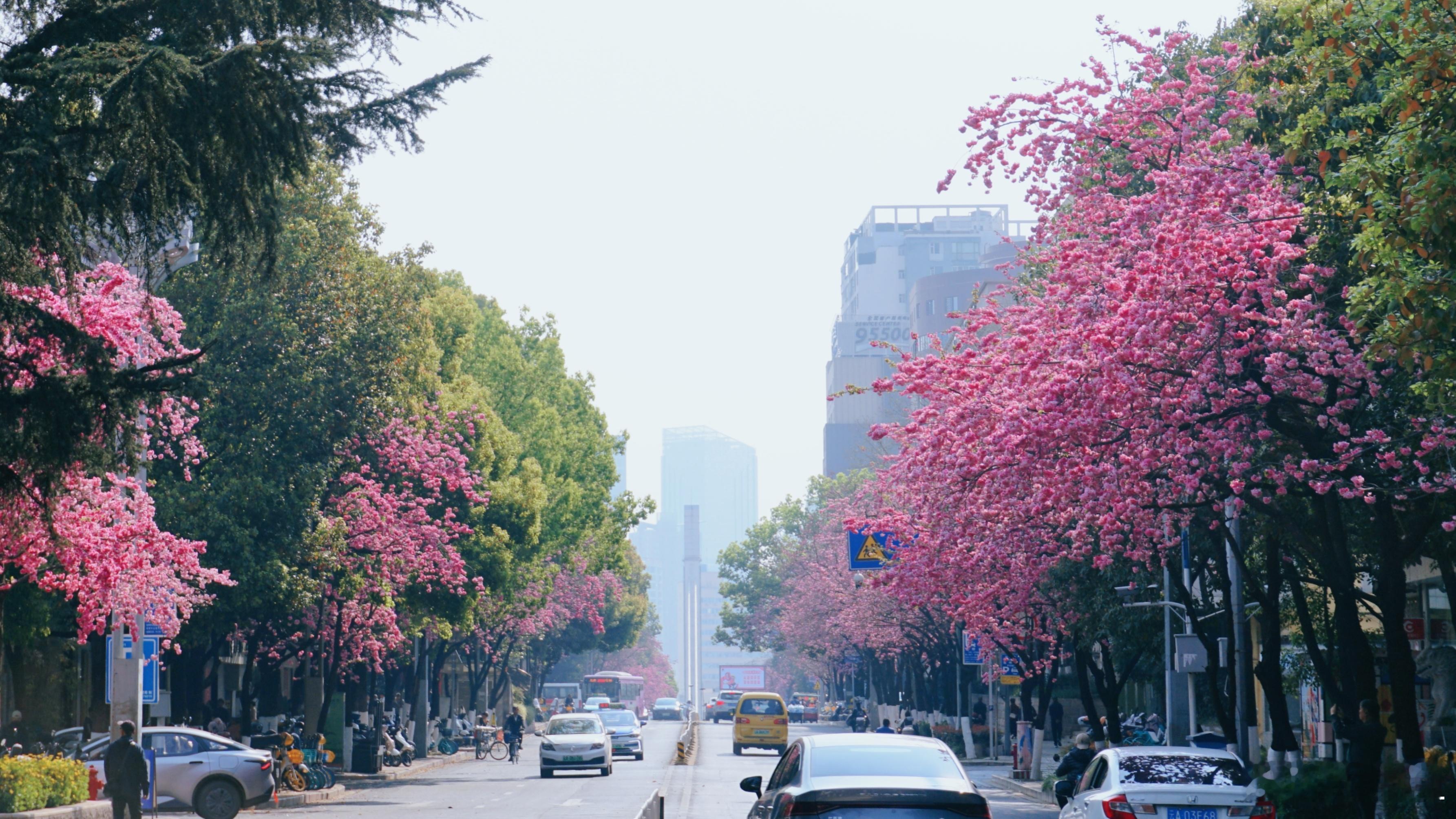 理想的云南:四季如春实际的云南:春如四季下次去大理我要剃光头再戴个假发，再碰上要