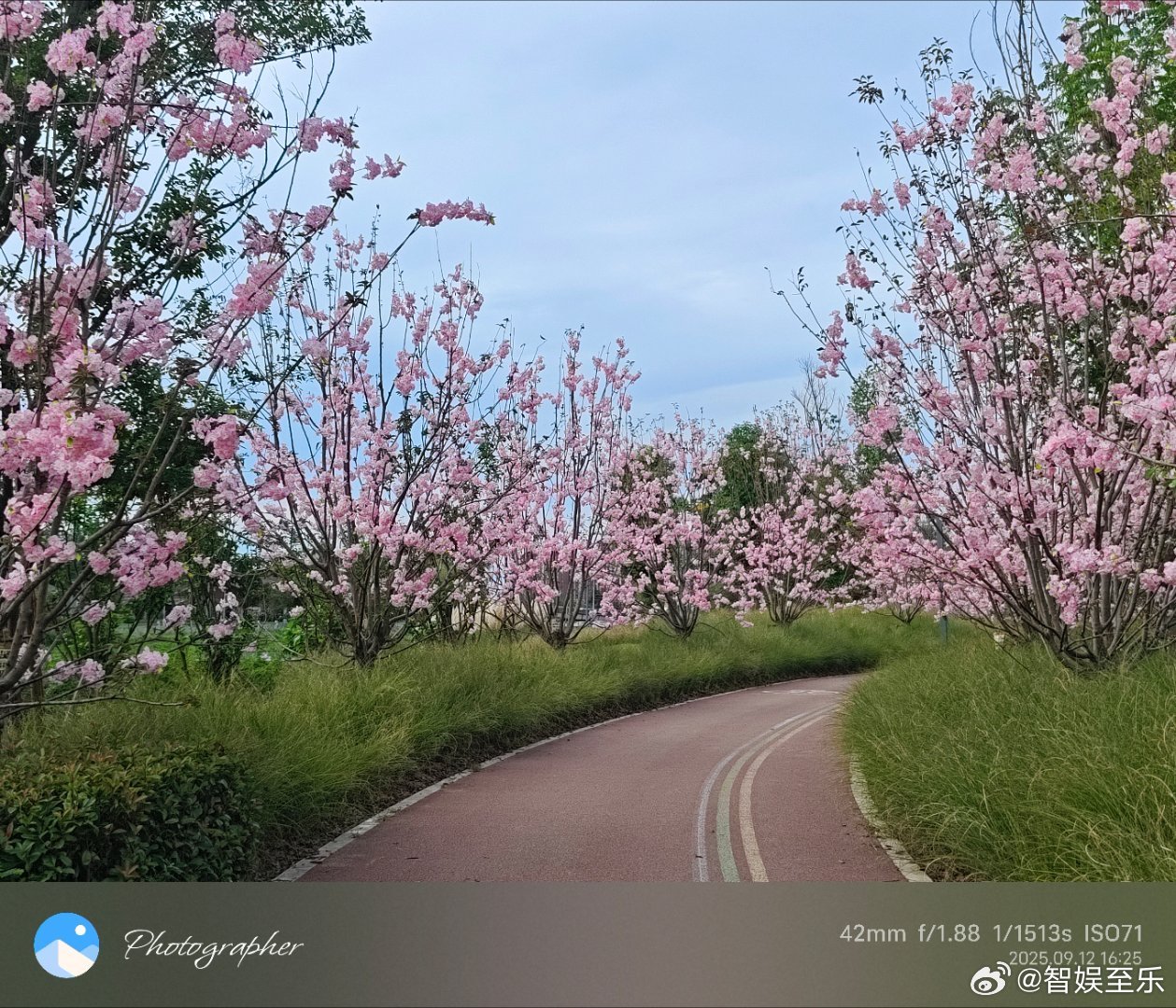 为应豪宅馥棠名，秋来硬造春华景。​红楼梦里怡红院，曹公用此寓忧心。 ​​​