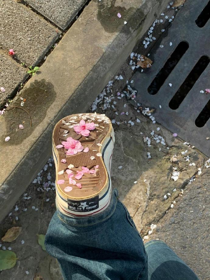 杳杳春来时，风也变得温柔起来。不必急着奔赴盛大的花开，慢慢来，等枝头抽芽，等暖意