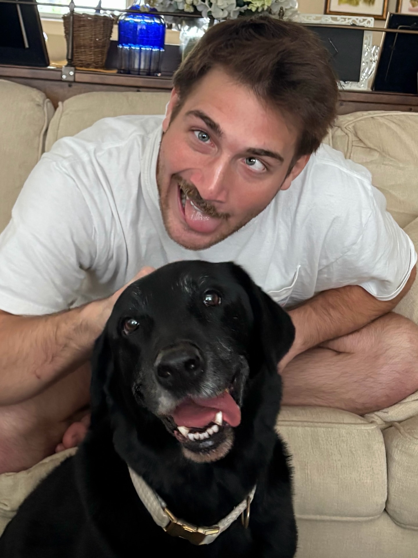 dog daddy