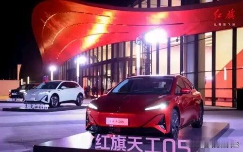 国内央企三大品牌车

1.中国第一汽车集团

2.东风汽车集团

3.中国长安汽