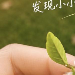 生活手记勤奋充电，努力工作，对人微笑 这些都不是为了取悦他人，而是为了扮靓自己，