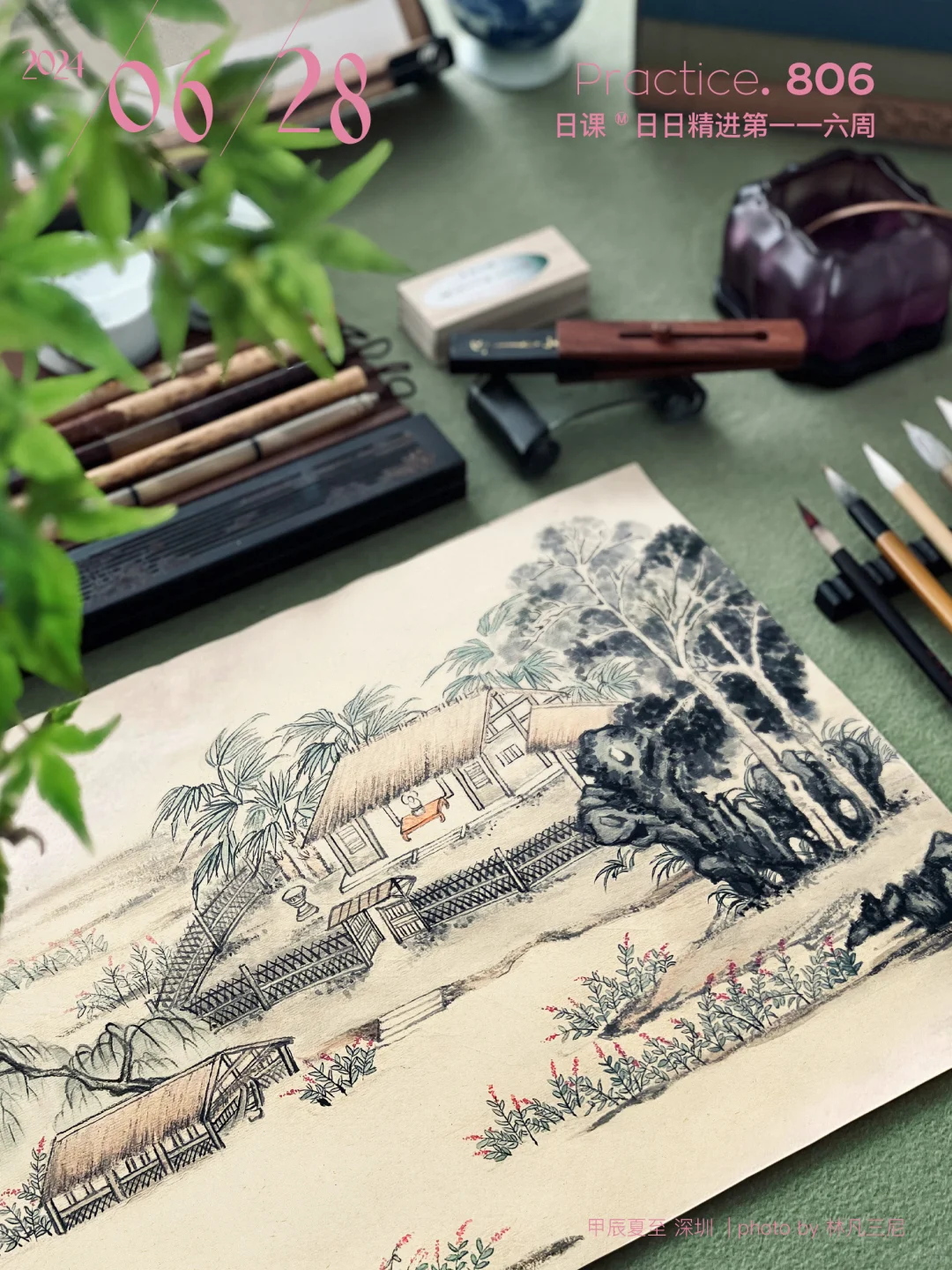 蓼花庵｜点蓼花的时候，你快乐了吗？