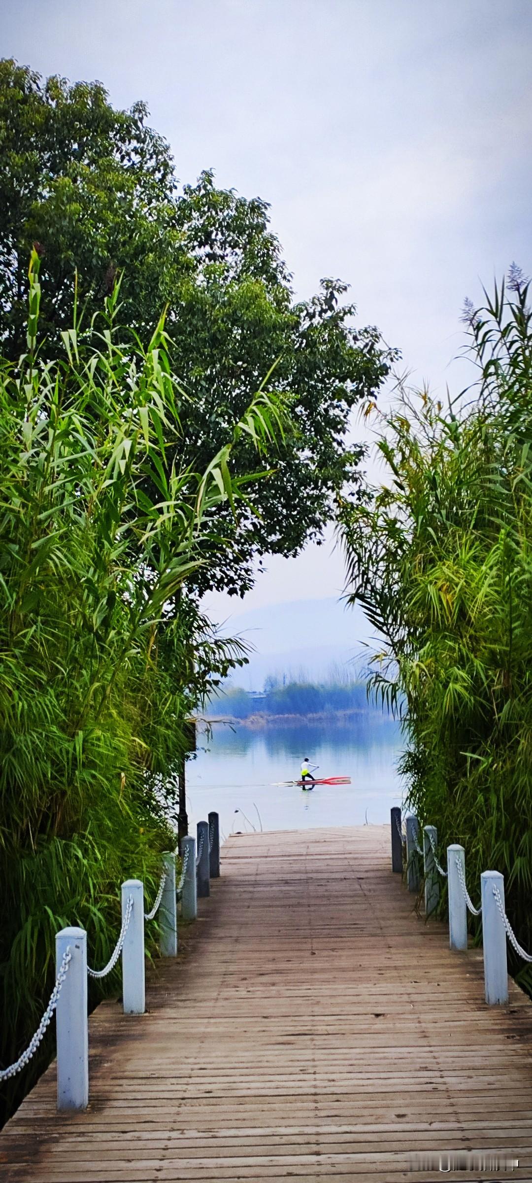 晒图笔记大赛汉江湿地公园邻江一侧会有一些浮桥，闯过莲花芦苇竹林，弯弯曲曲的在湿地
