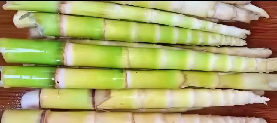 春天必吃小竹笋，鲜脆又养生
 
春雨过后，山间小竹笋纷纷冒头，正是一年最嫩时。小