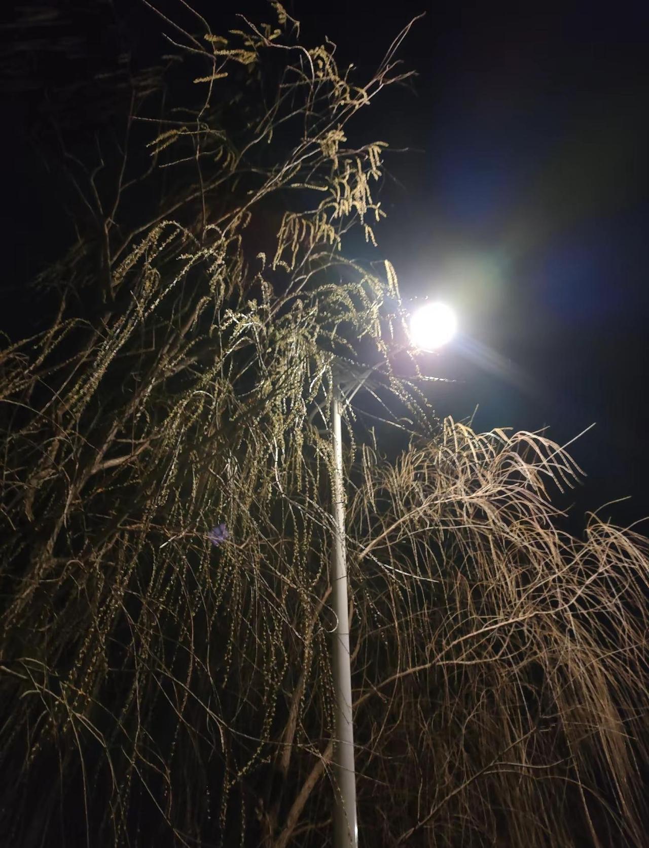 生活并不是每天新鲜，安稳比什么都重要。     其实没有情绪的日子，就很幸福。
