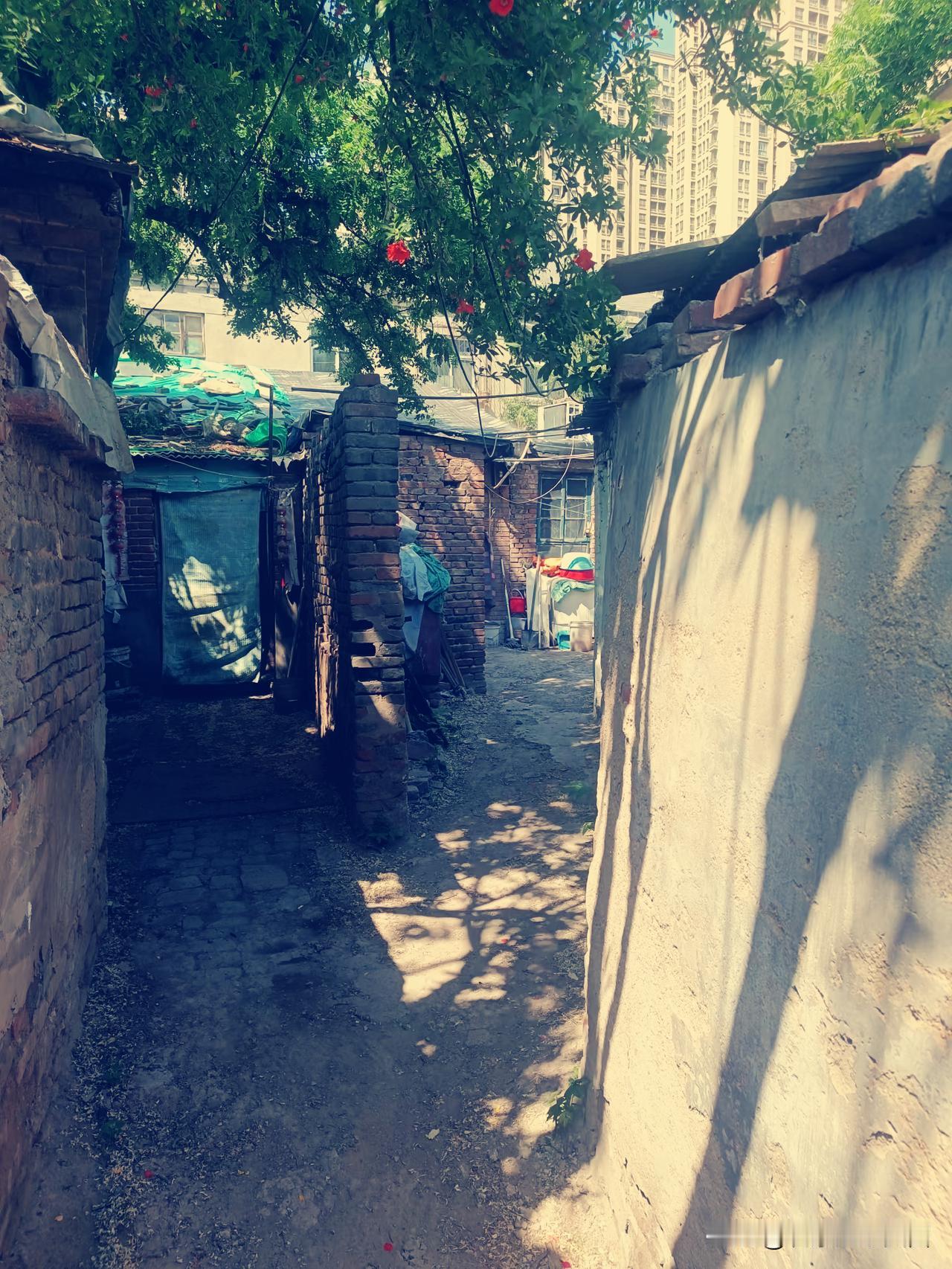 【石家庄煤市路的风，吹过二十年前的胡同】
 
站在光明路与煤市路之间的巷口，风裹