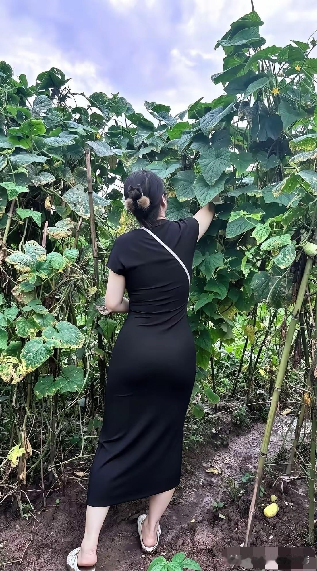 女人们都听好了
退休以后怎么安排呢
到底该怎么过？
我告诉你
想怎么来就怎么来