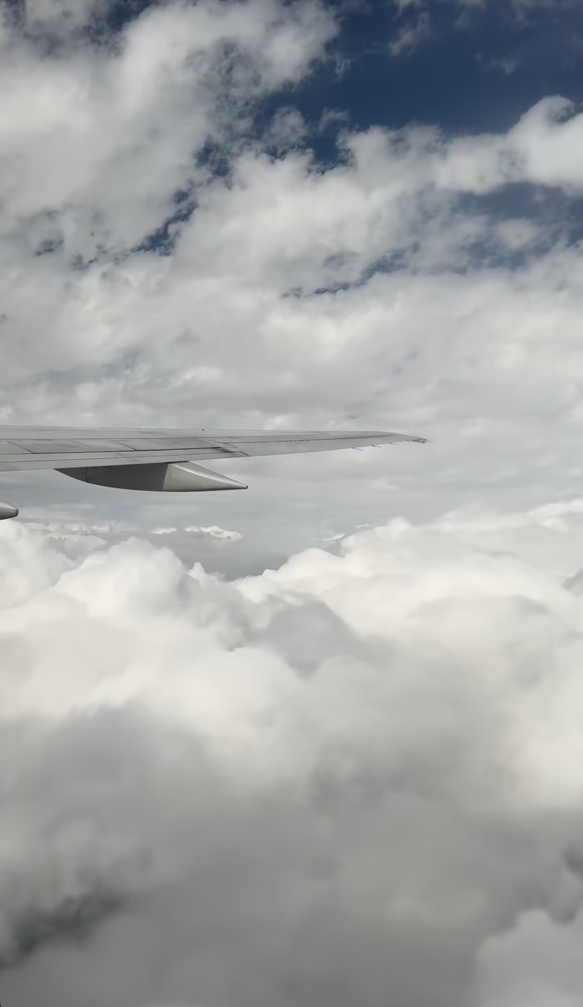 打客场也一起啊[doge]索汉的女友也去了菲尼克斯超话创作官 ｜nba新赛季第一