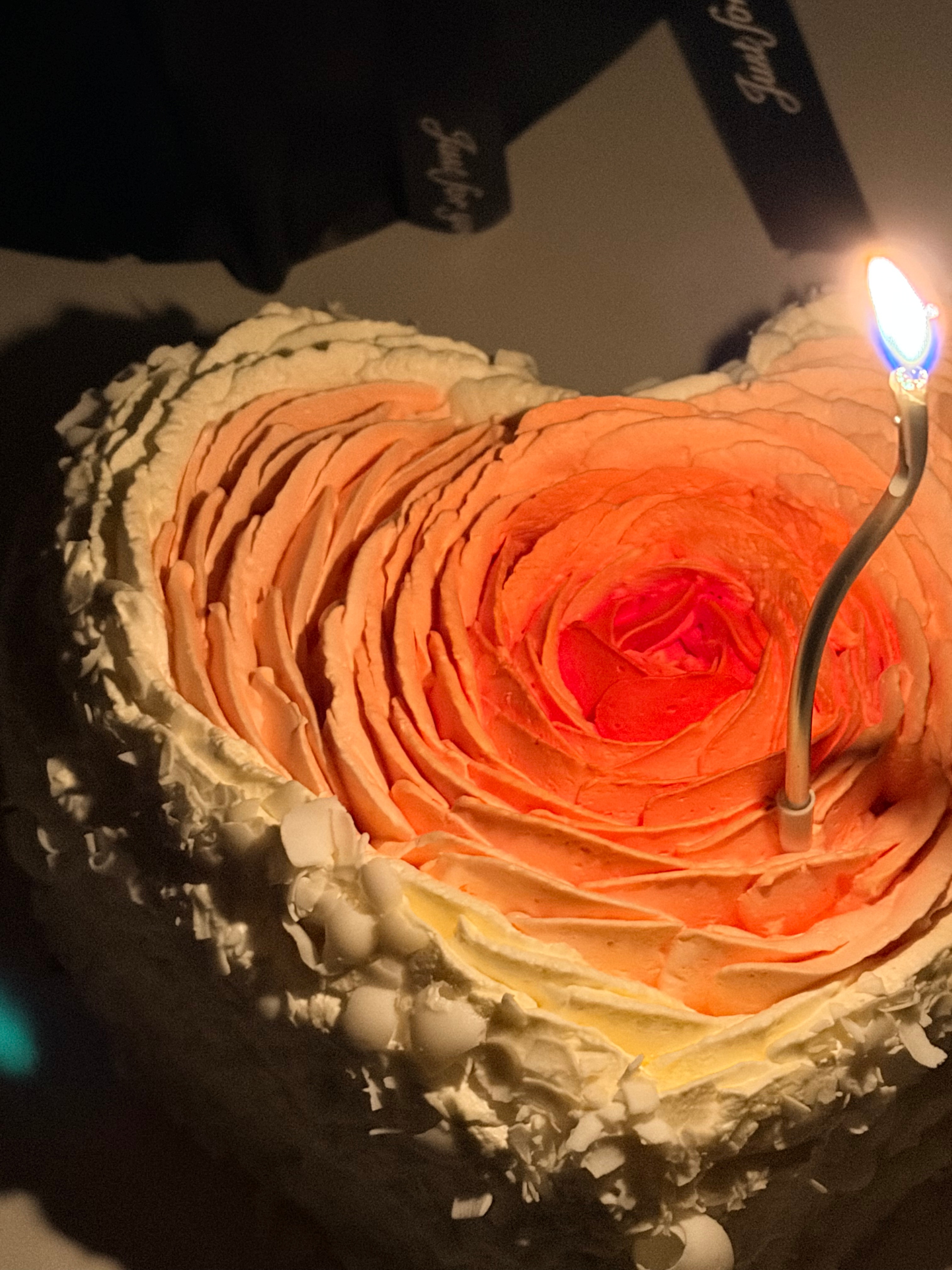 生哥，生日快乐！三亚站演唱会圆满成功！以后的每一天都是甜甜的好日子！
