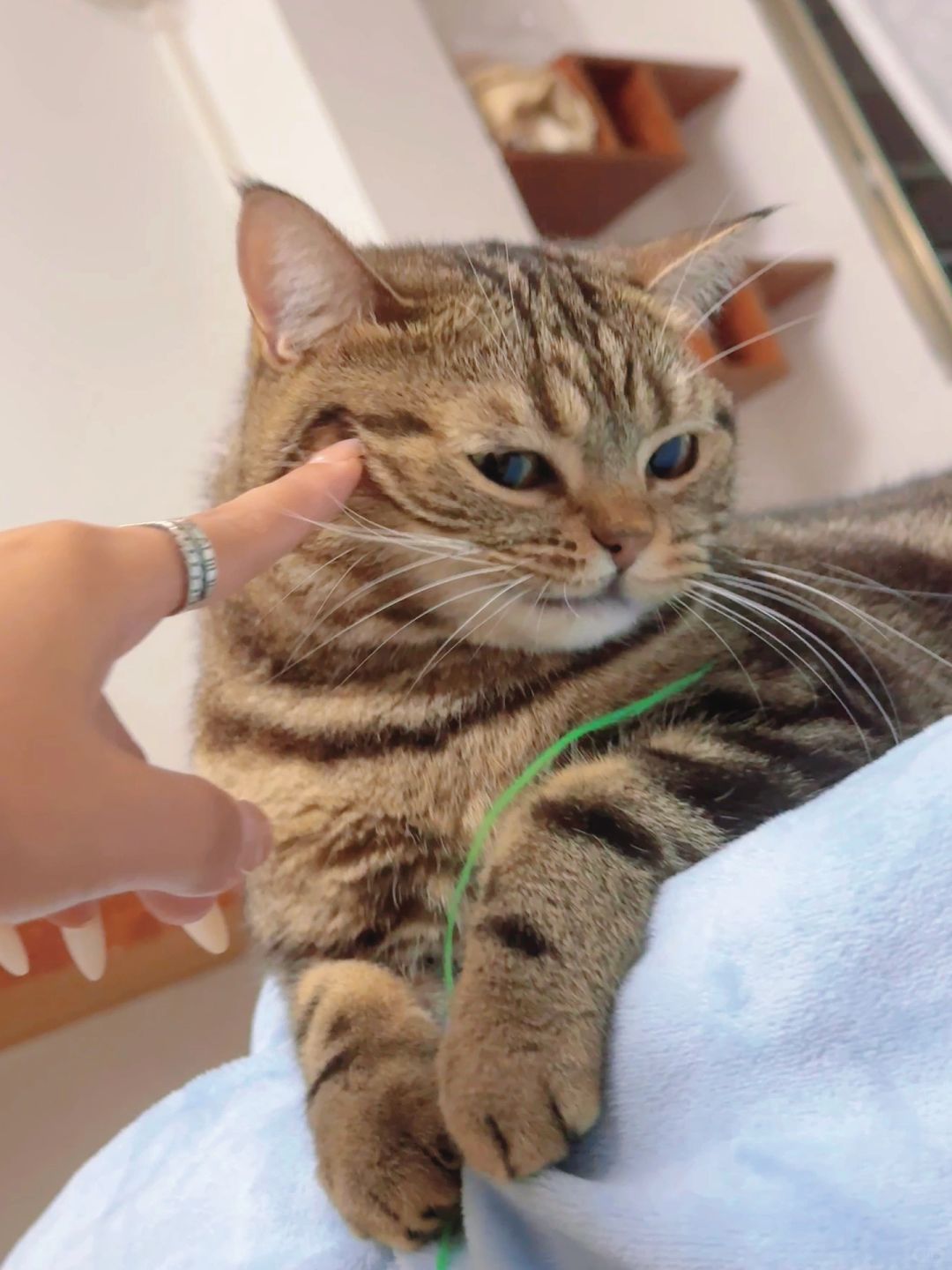 主打的就是一个叛逆！！！