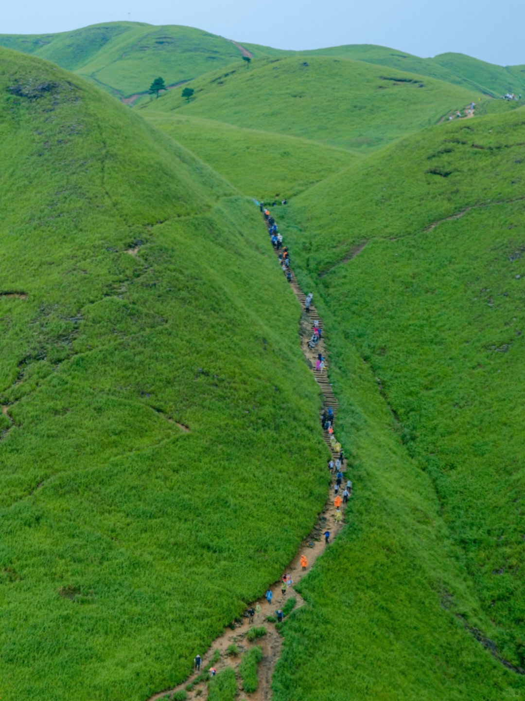 如果你想看这样的武功山，先听我这10句劝！
