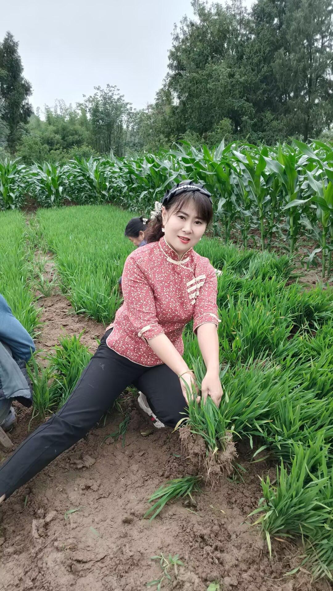 每个人的童年都不一样，即便是苦的，如今回忆起来也是甜蜜的！