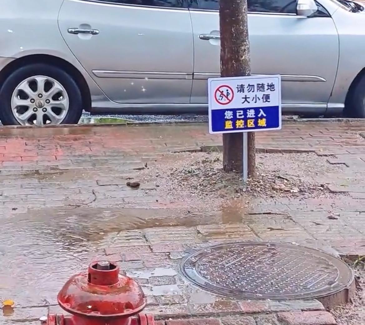 【玉林某门店人行道绿化树有人随地小便】

近日，玉林市的某门店人行道上的绿化树晚