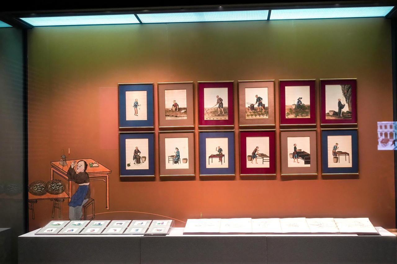 德藏外销画返乡展出再现百年宁波风貌 宁波帮博物馆推出跨国特展，50册德国珍藏19