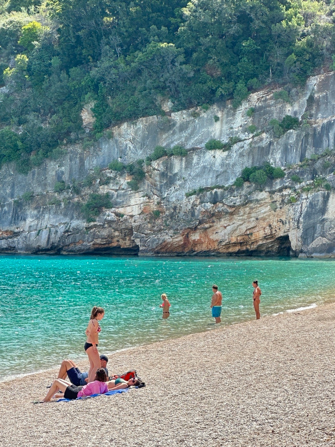 分享图片 ​​​