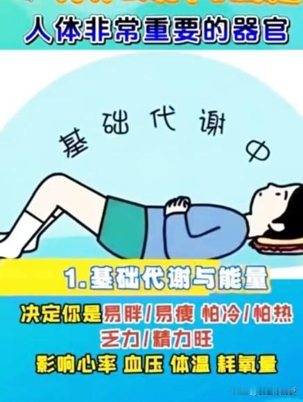 入秋后总觉得整个人提不起劲，代谢变慢掉秤难，情绪也莫名容易烦躁，去做体检才被医生