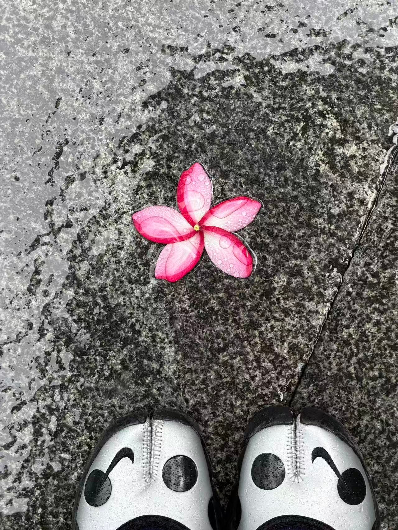 不建议大家辞职去做自媒体只要喜欢就去尝试，不要给自己他人设限，就像我们年轻时候大
