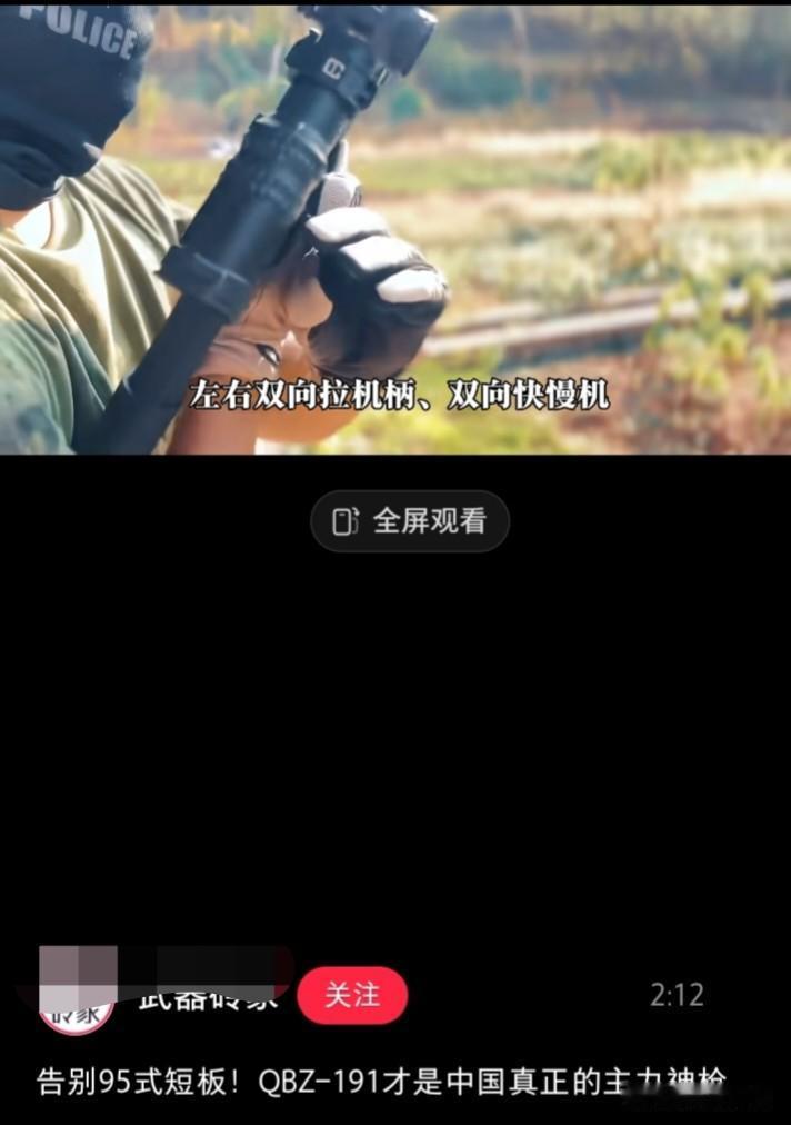 平行世界那边的191自动步枪与现实世界中的中国191自动步枪有何区别！
    